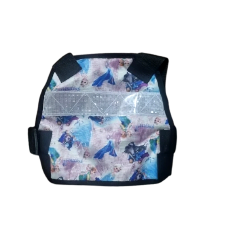 Chaleco Seguridad Niños Bebé Arnés Moto Estampado - FROZEN